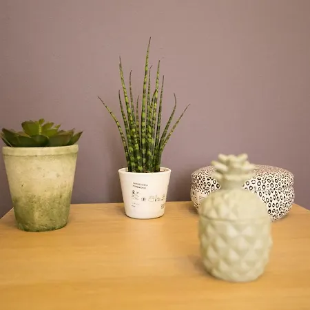 Rua Luciano Cordeiro Bhuiyan Family Host